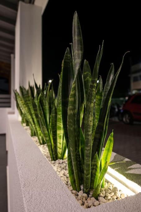 Poem Lejlighed Kos By Eksteriør billede